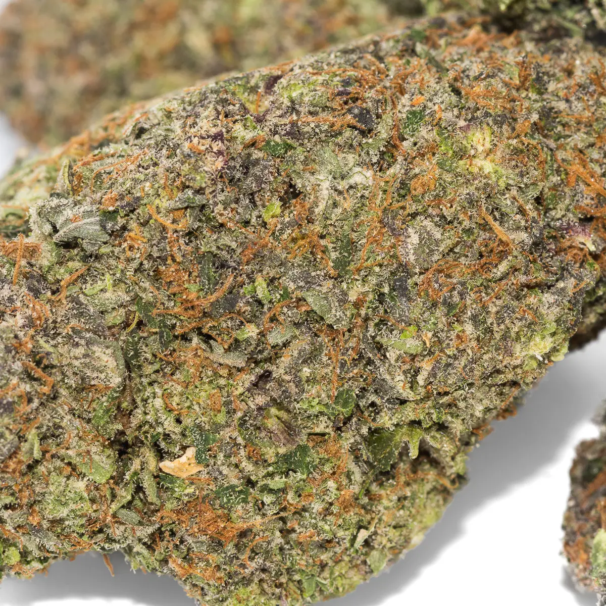 Black Tuna – Indica – $80 Half Ounce