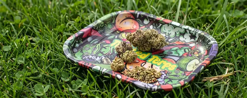 Rolling Papers & Smoke Tools