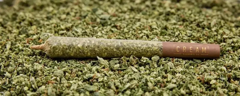 Pre Rolls