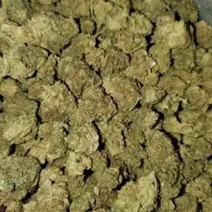 Alien Cookies