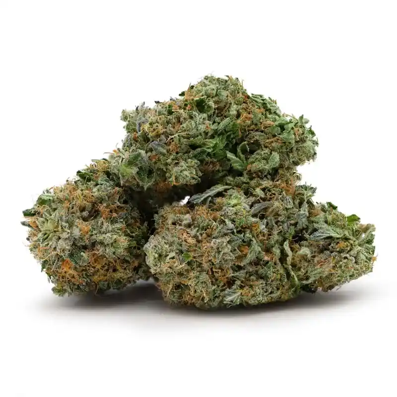Alien Dawg