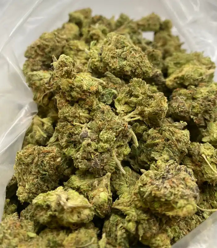 Animal Cookies