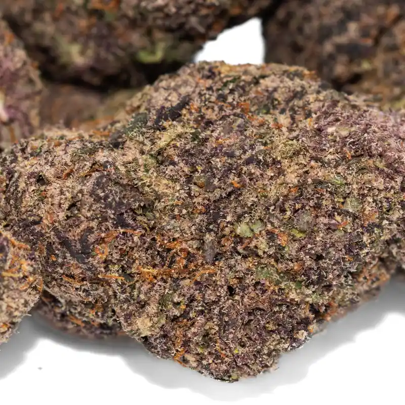 Berry Bonds