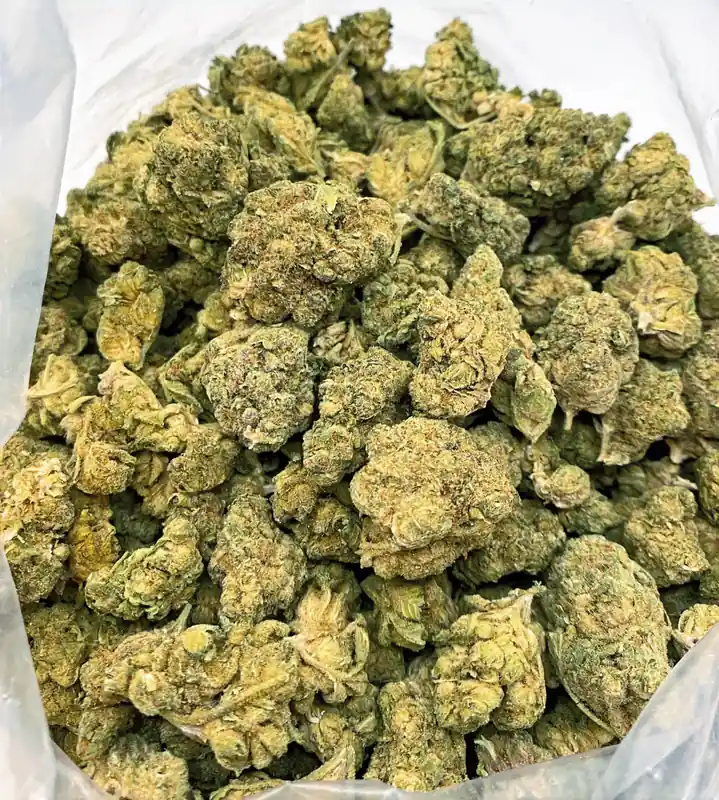 God Bud