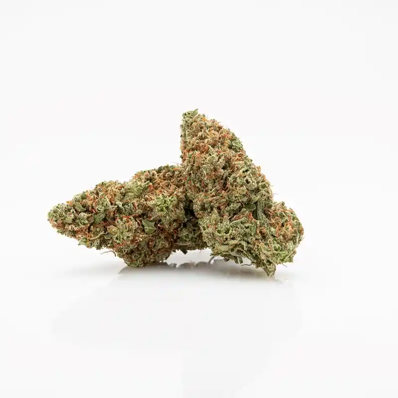 Jack Herer