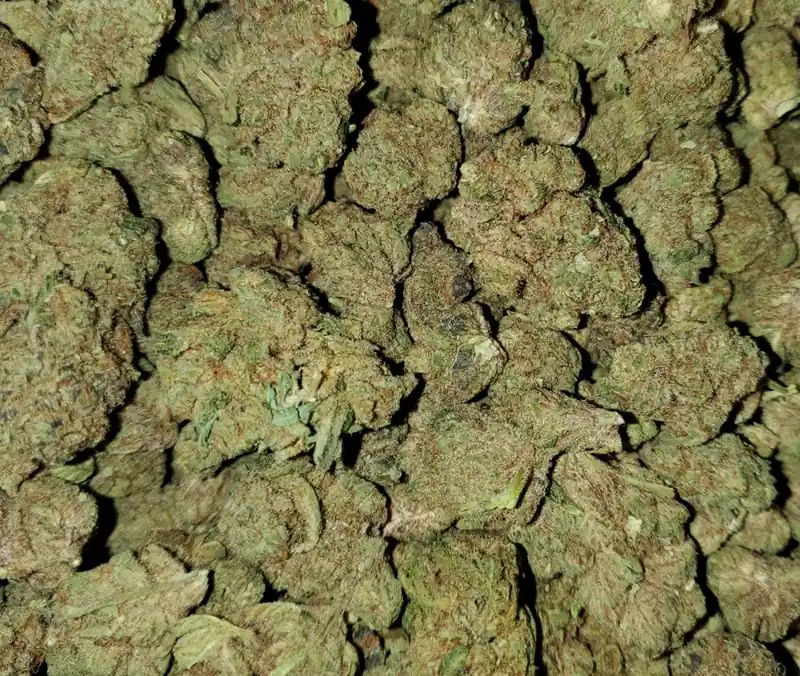 Kosher Kush