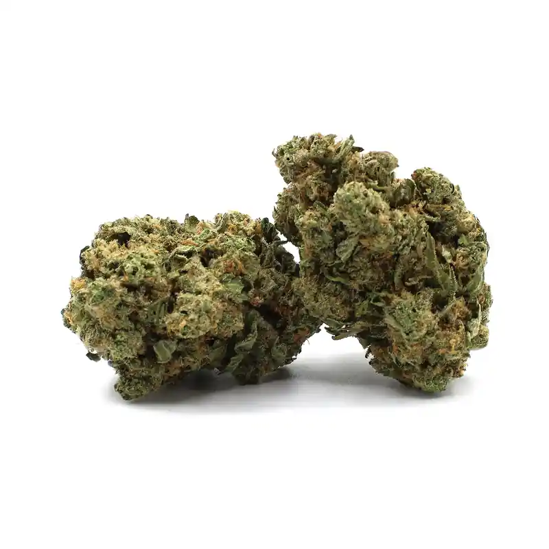 LA Stardawg