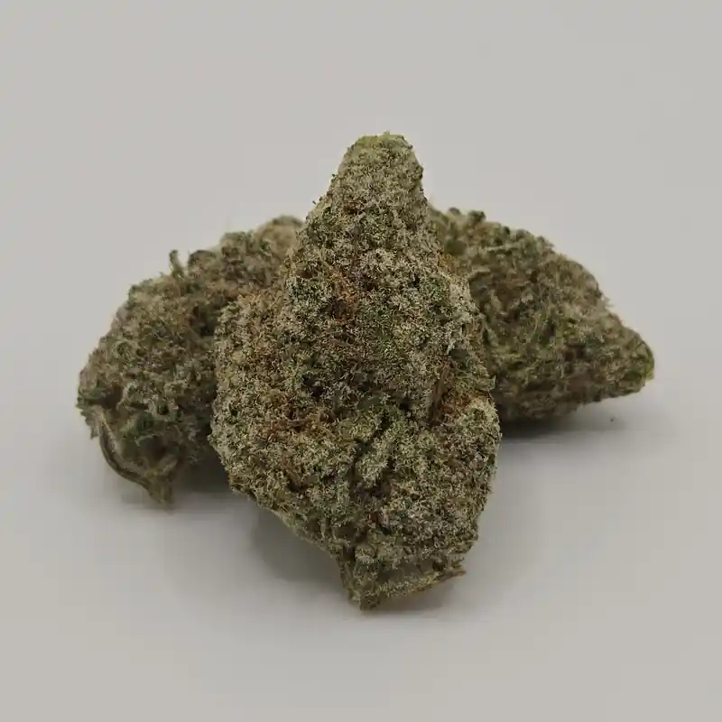 MAC