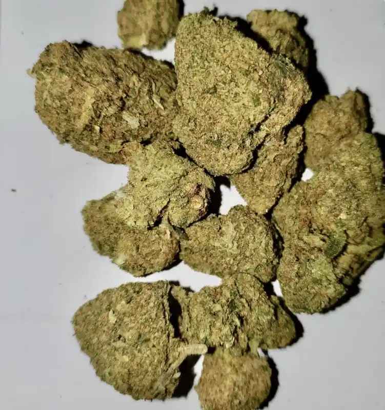 Northern Berry