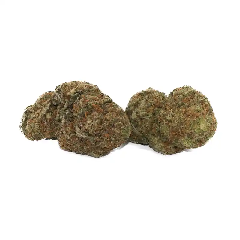 Northern Lights