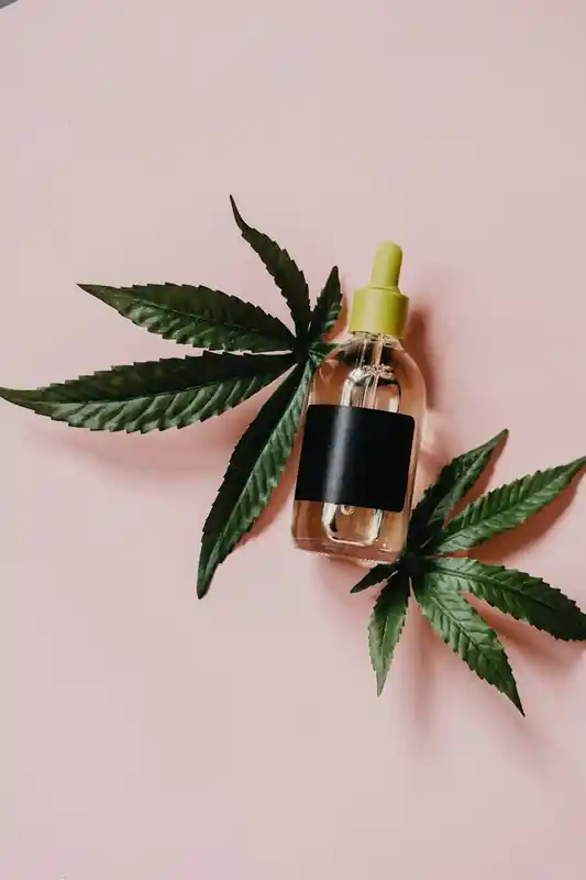 Peppermint CBD Oil 1000mg