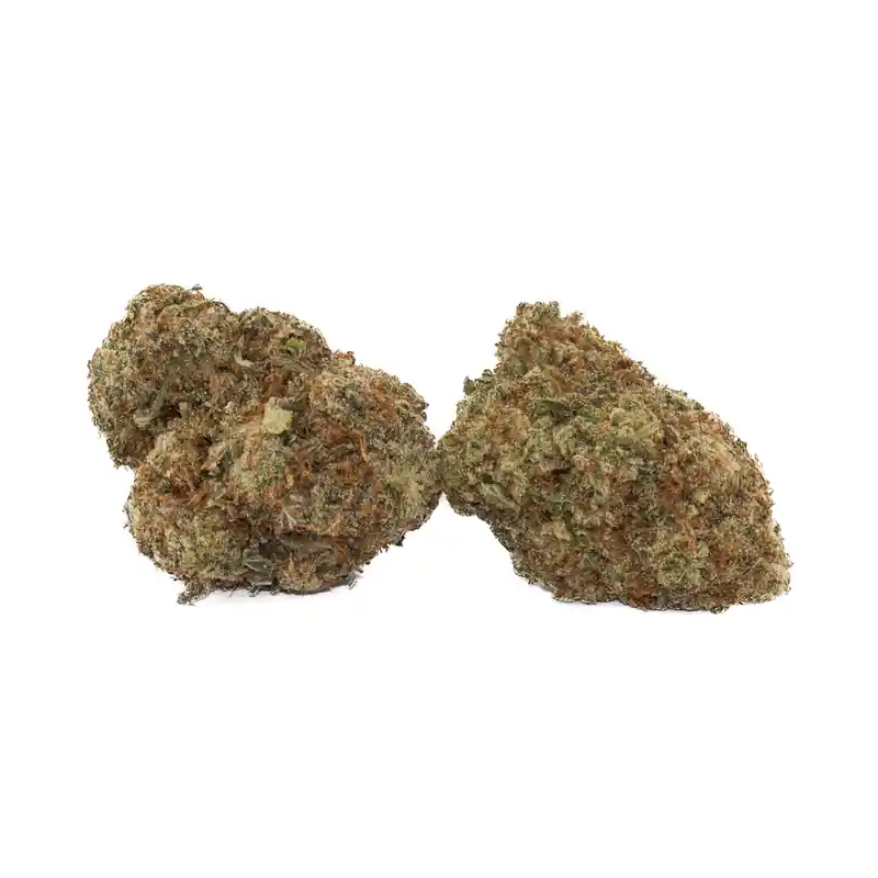 Pre 98 Bubba