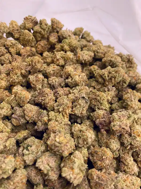Purple Kush