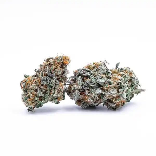Santa's Stash