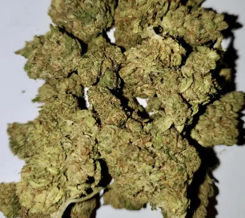 Sweet Sativa