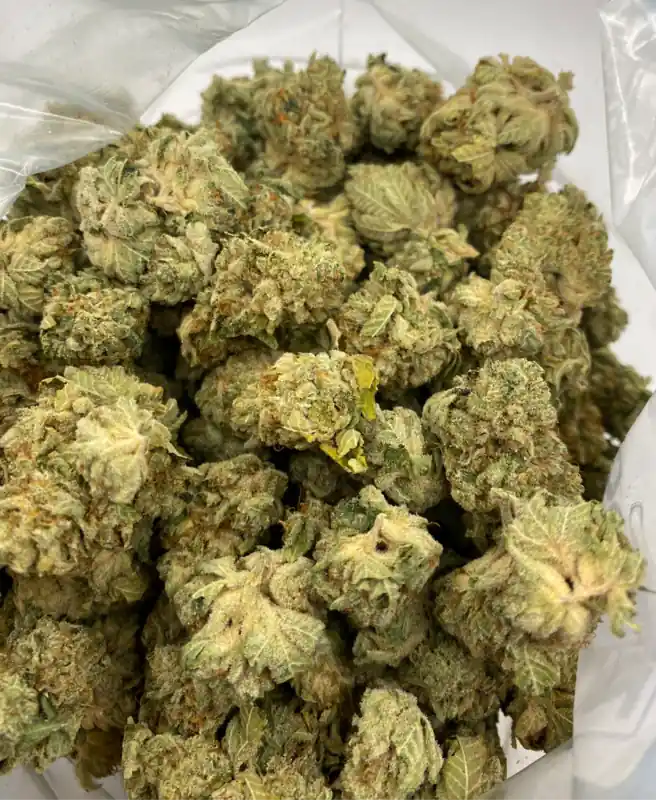 TAHOE OG
