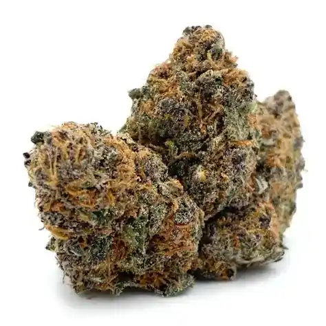 Thin Mint Girl Scout Cookies