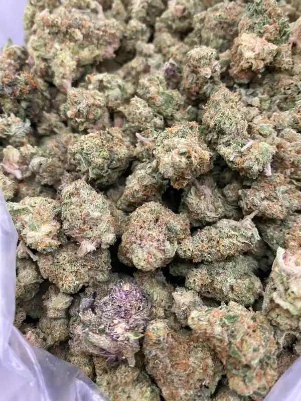 Vanilla Frost
