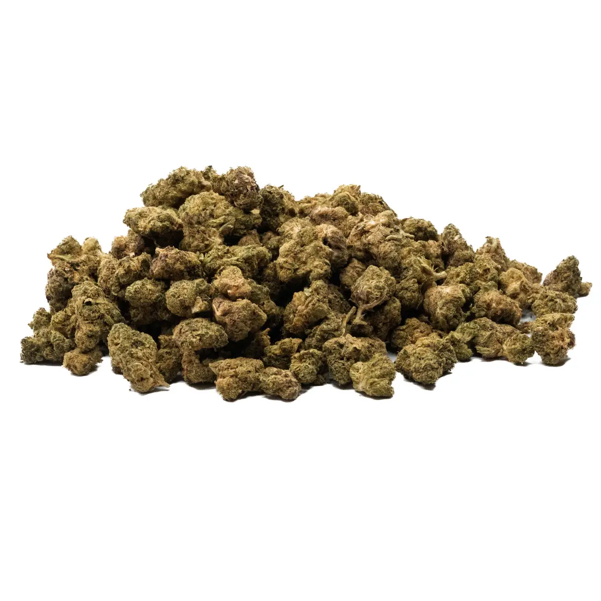 Animal Cookies