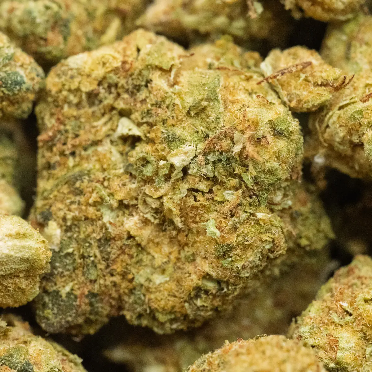 Zombie Kush