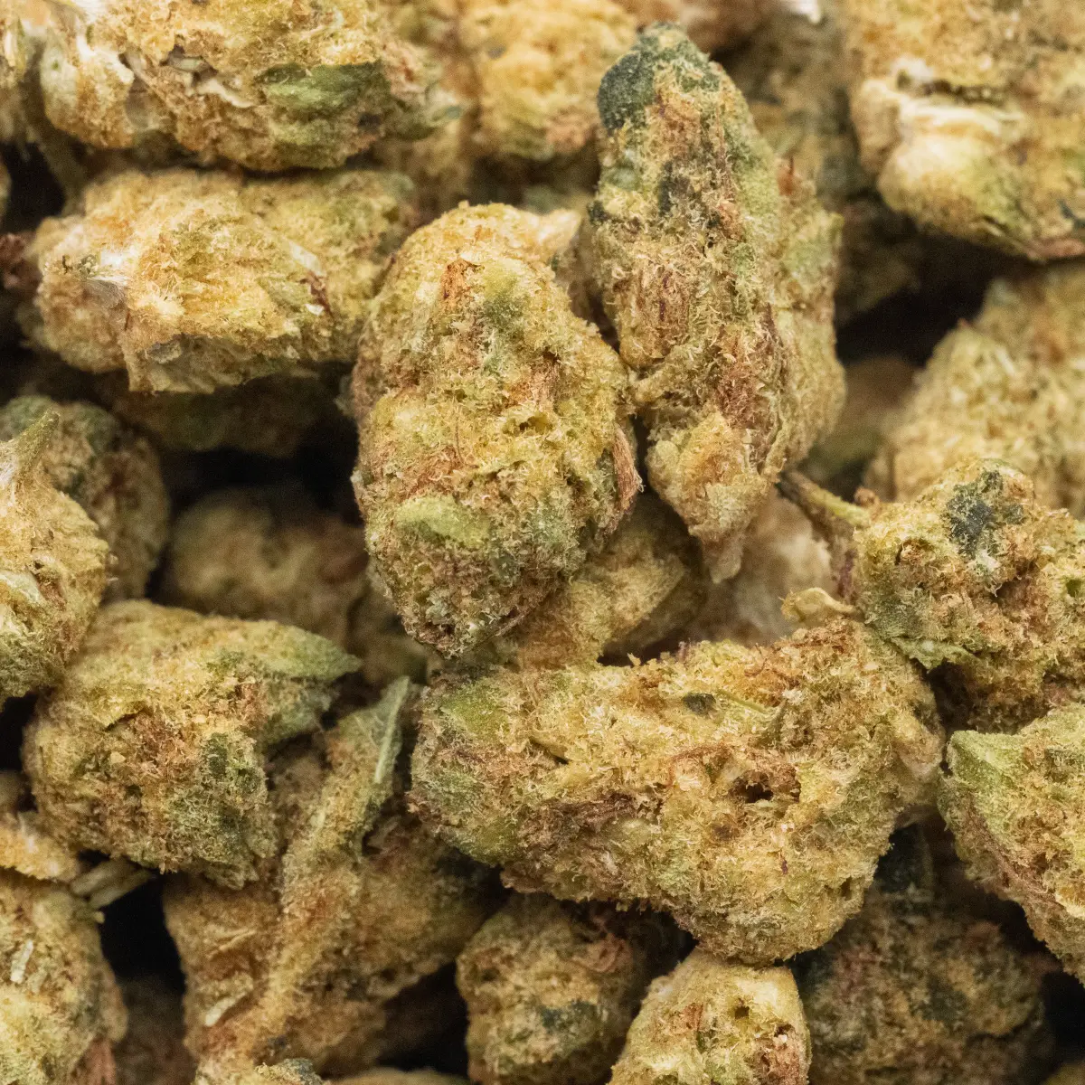 Candyland