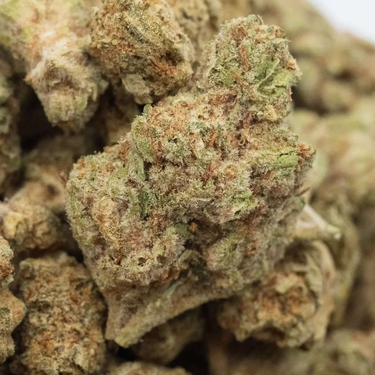 Black Cherry Punch