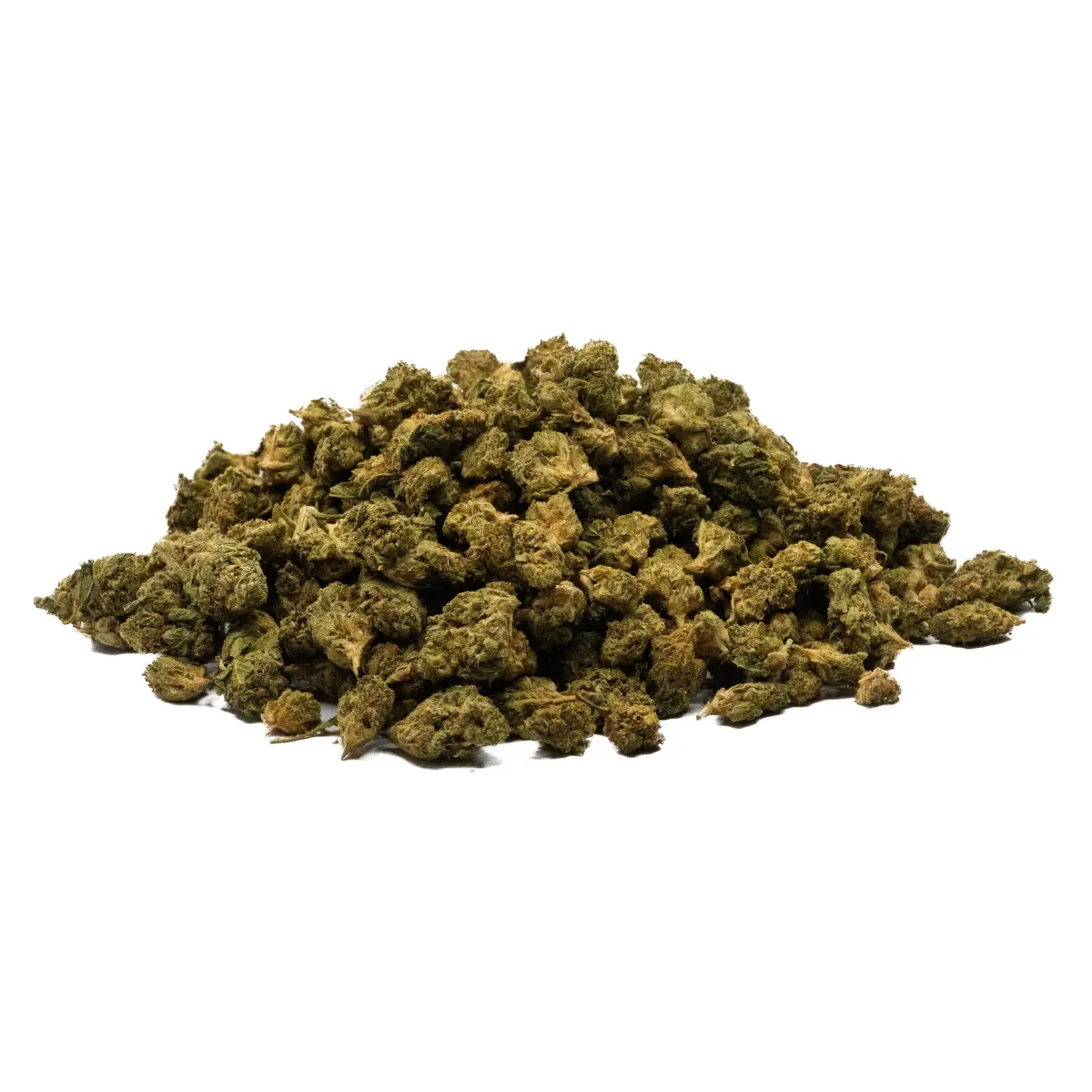 Gator Breath
