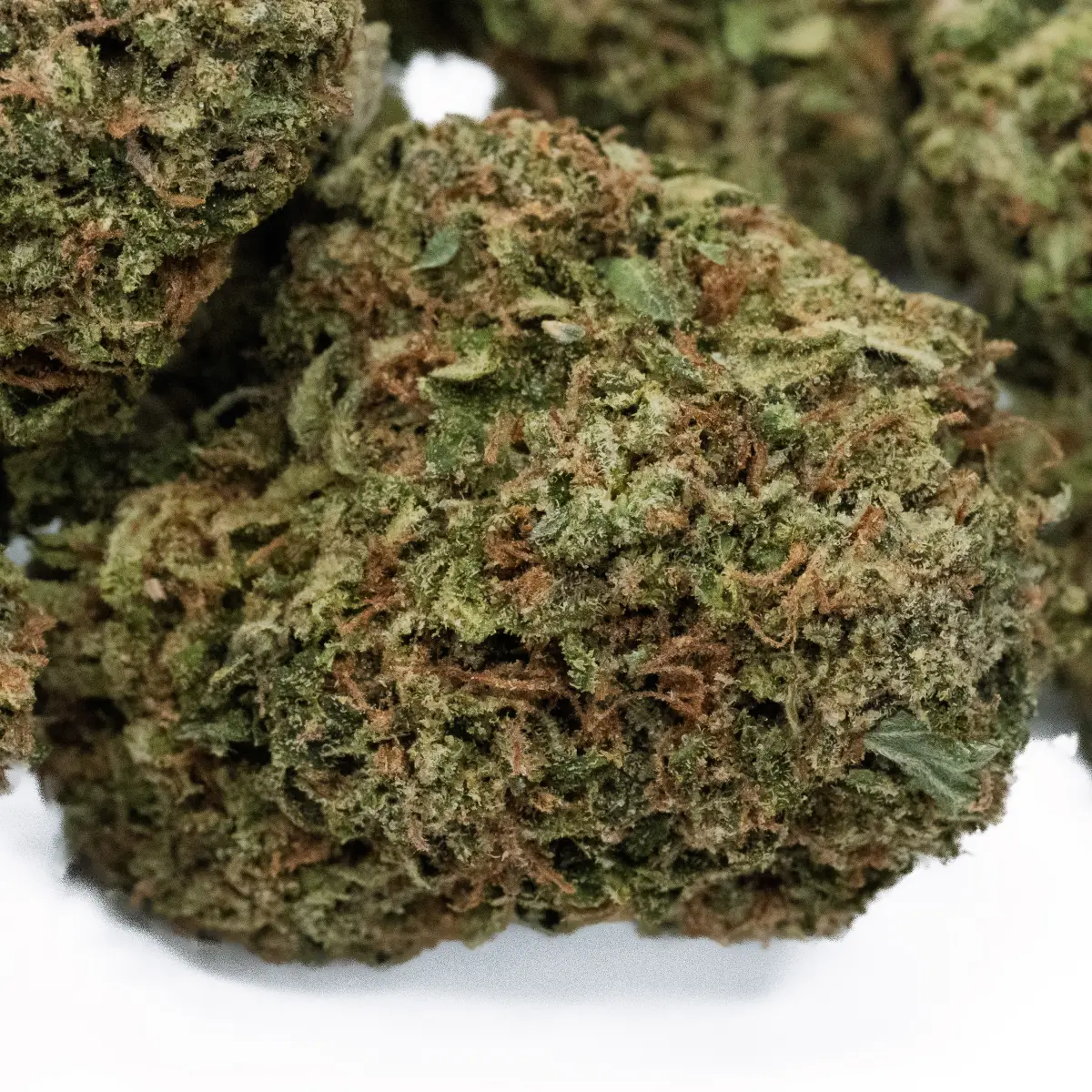 Rockstar OG