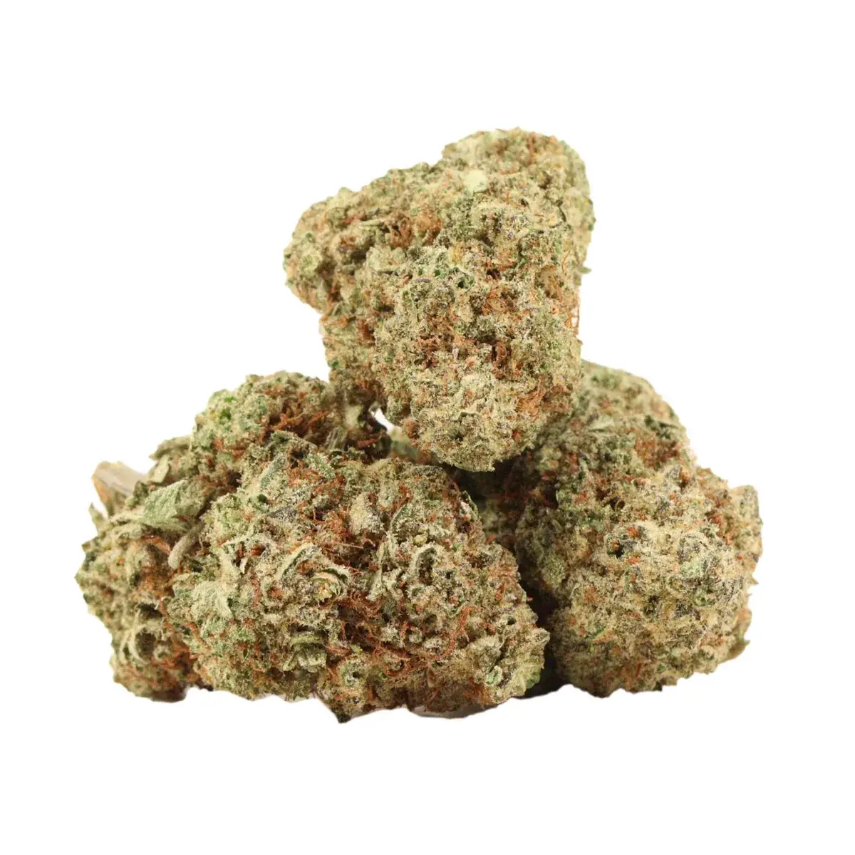 Black Tuna - Starbuds Halifax - shrooms halifax