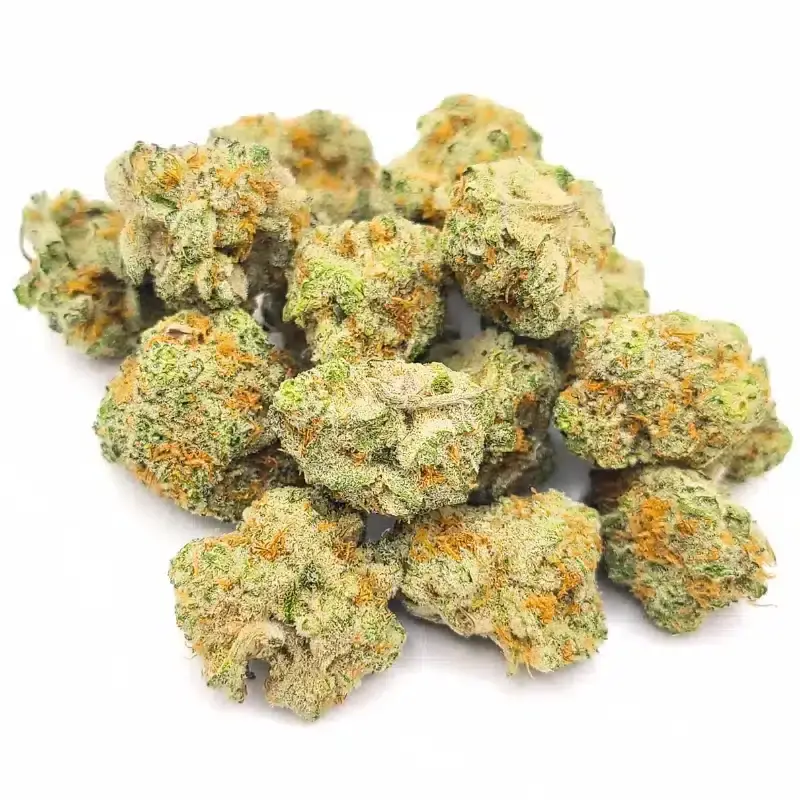 Blueberry Doughnut - Starbuds Halifax - shrooms halifax
