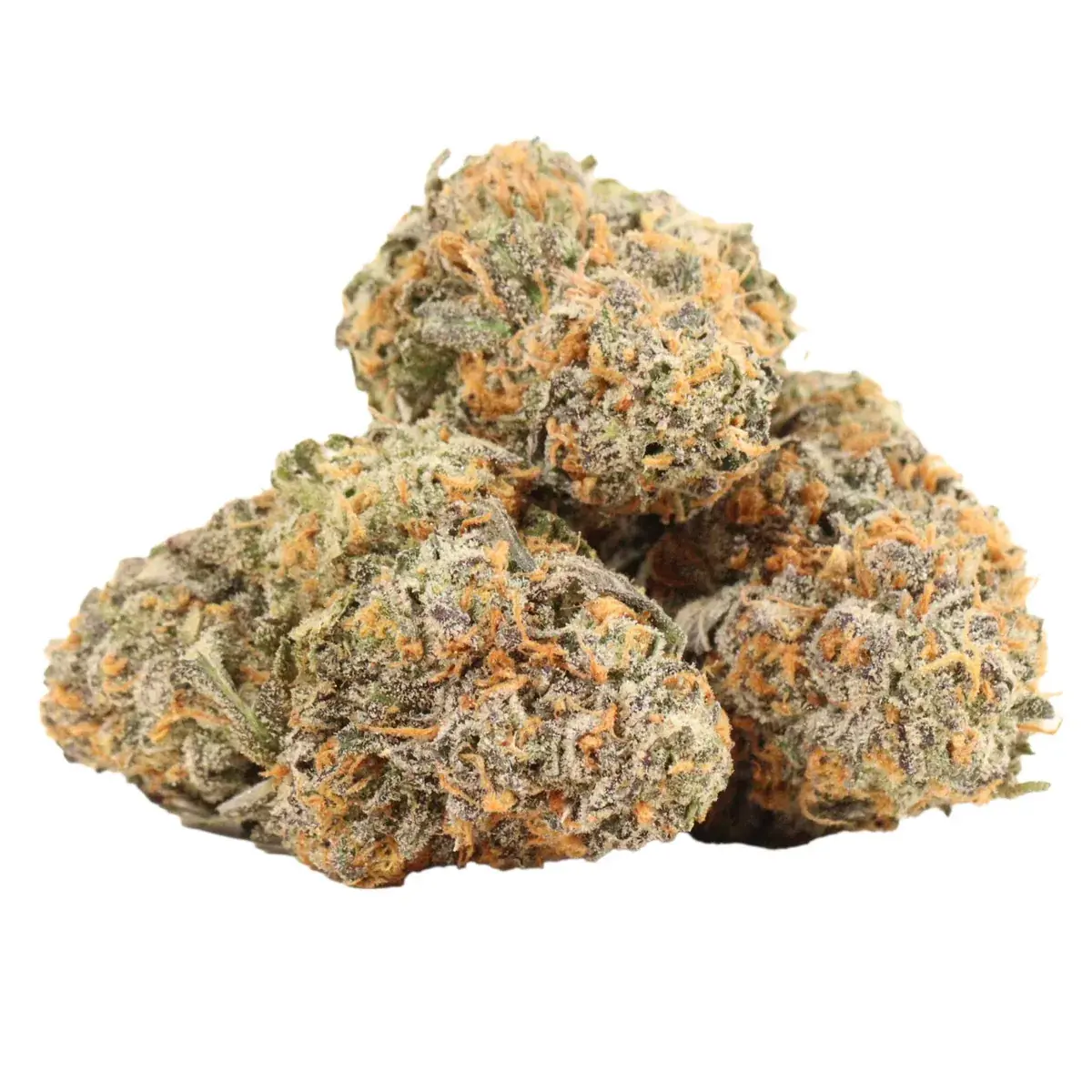 Candyland - Starbuds Halifax - shrooms halifax