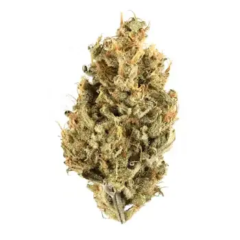 Cherry Bon Bon - Starbuds Halifax - shrooms halifax