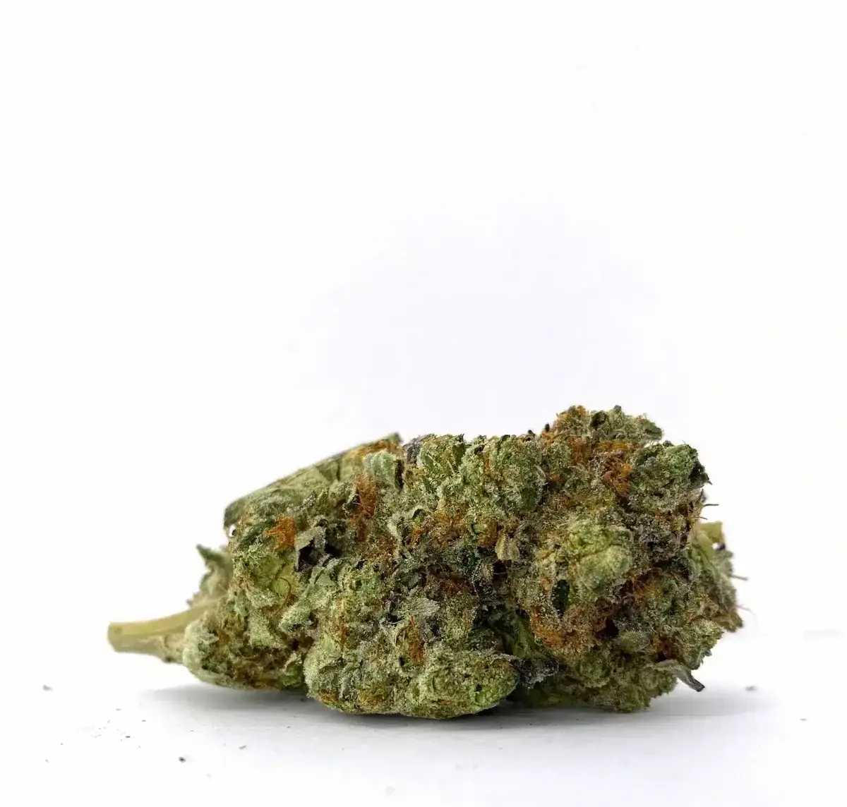 Cherry Gelato - Starbuds Halifax - shrooms halifax