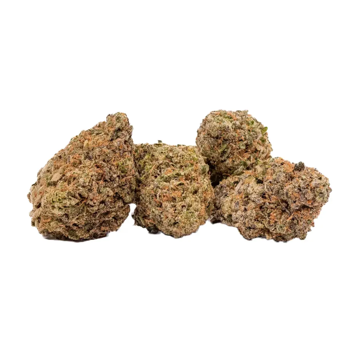 King Sherbet - Starbuds Halifax - shrooms halifax