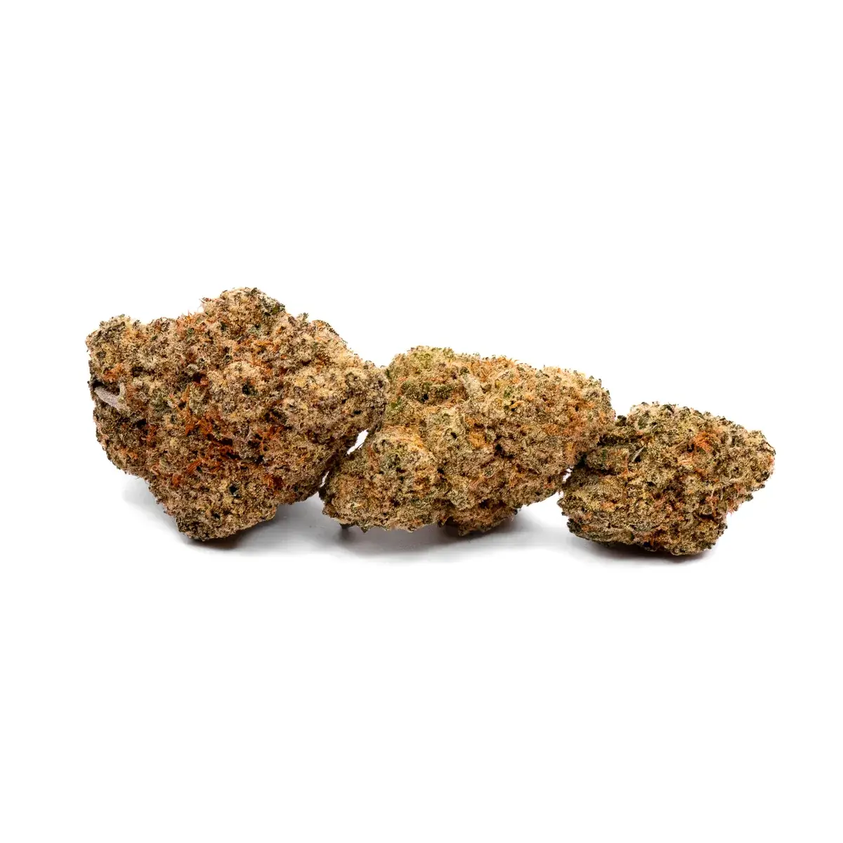 Donkey Breath - Starbuds Halifax - shrooms halifax