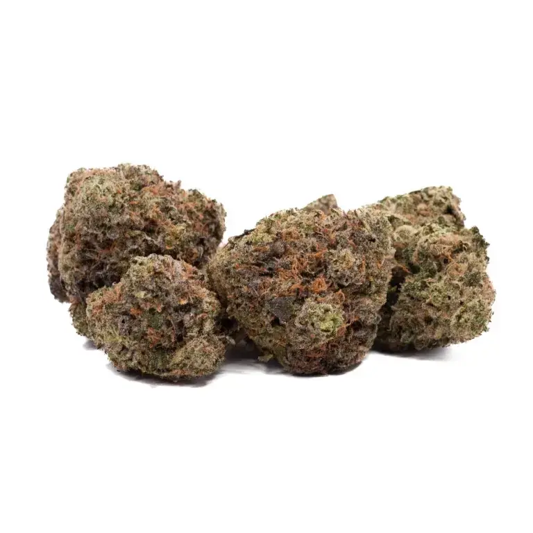 Double Death Bubba - Starbuds Halifax - shrooms halifax