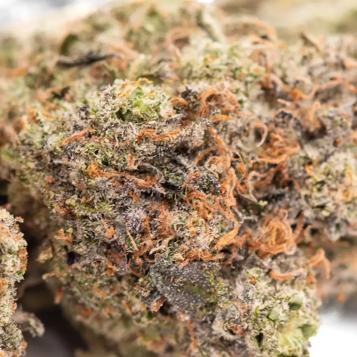 Exotic Gas
