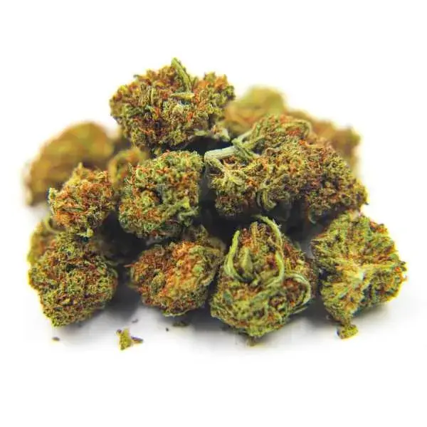 Fruit Roll Up - Starbuds Halifax - shrooms halifax
