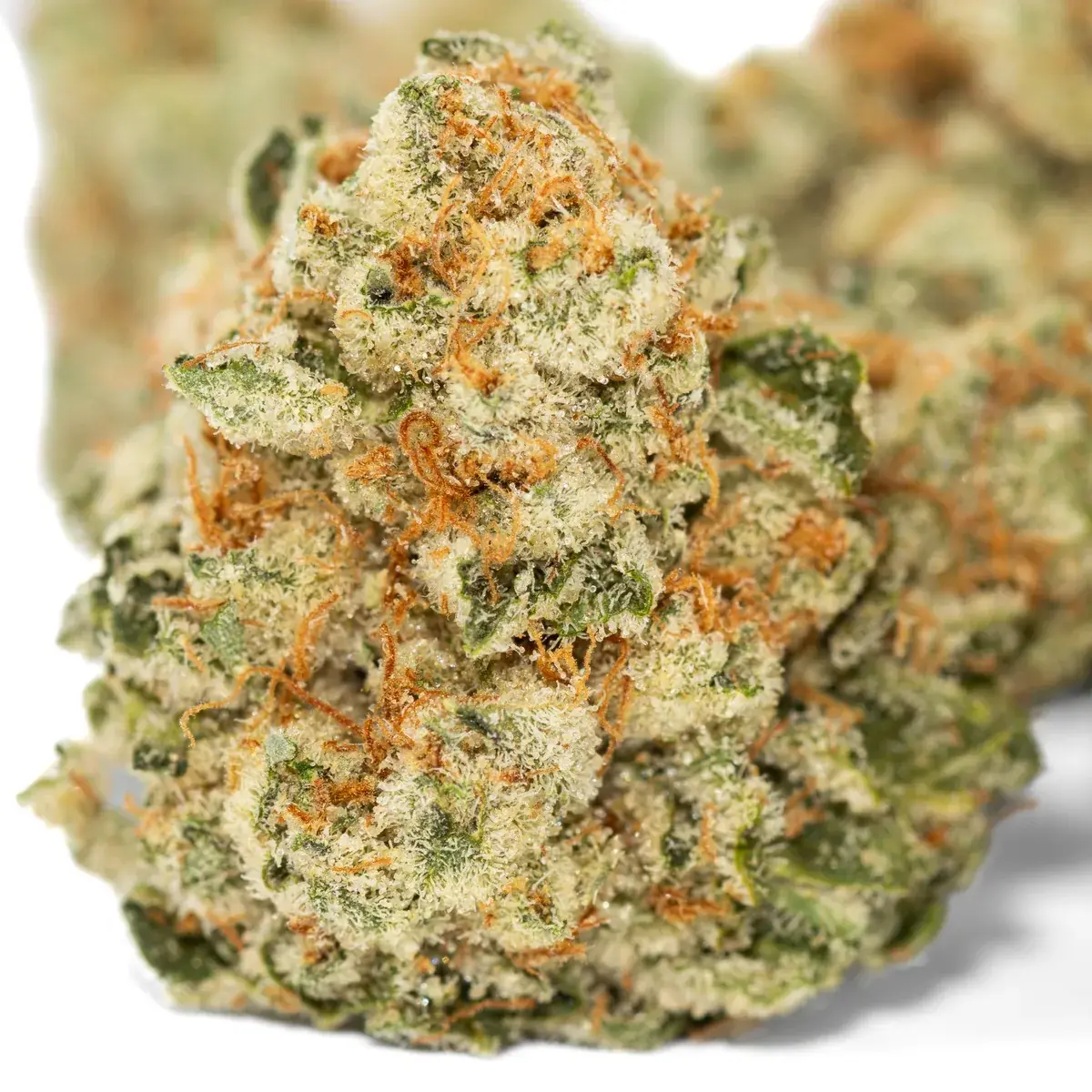 Gas Cake - Starbuds Halifax - shrooms halifax