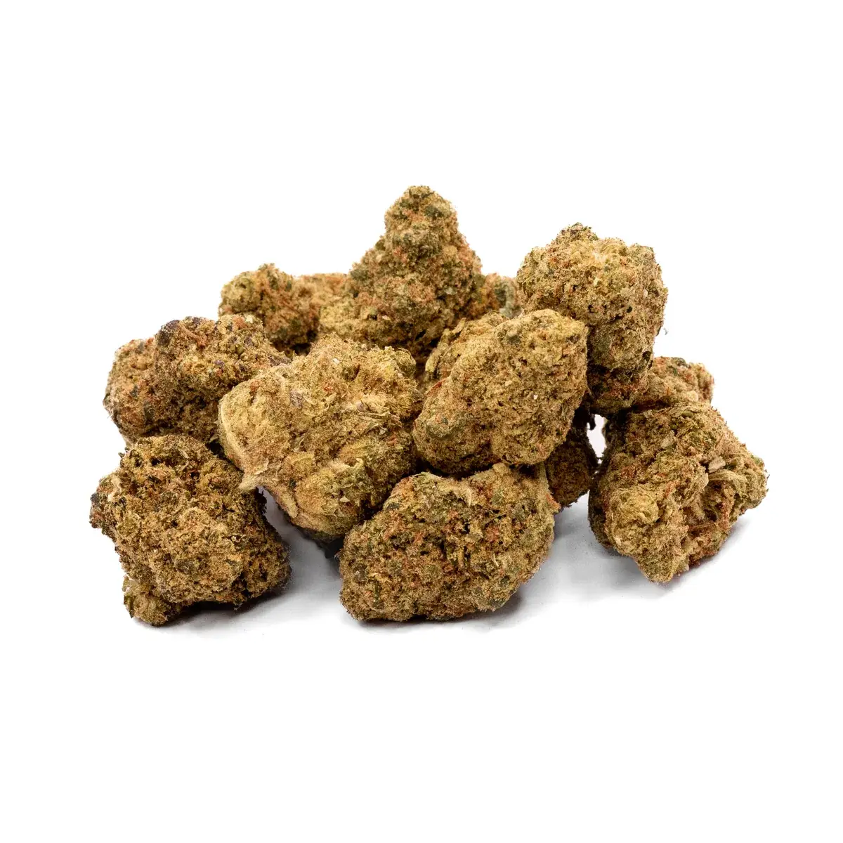Gastro Pop - Starbuds Halifax - shrooms halifax