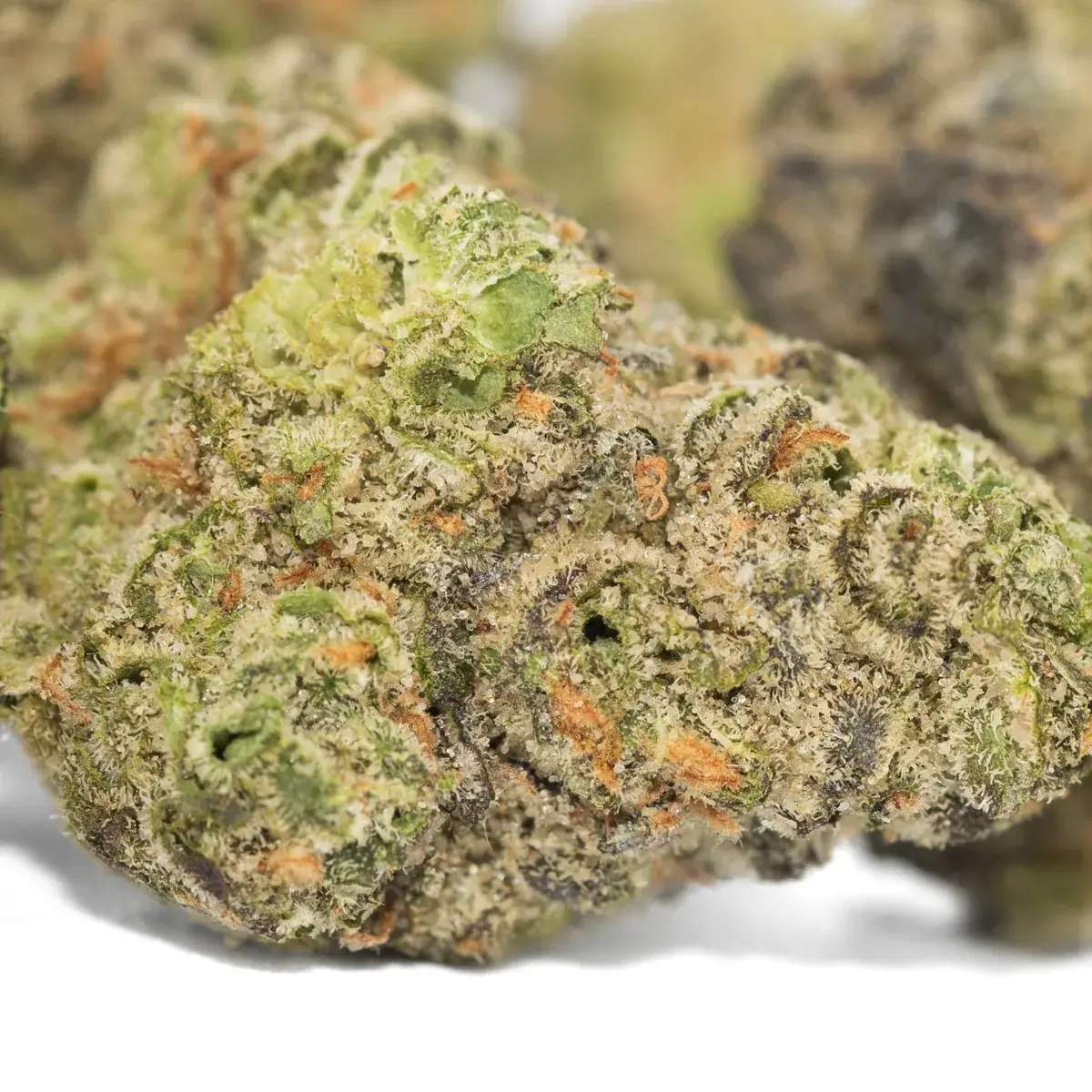 Girl Scout Cookies - Starbuds Halifax - shrooms halifax