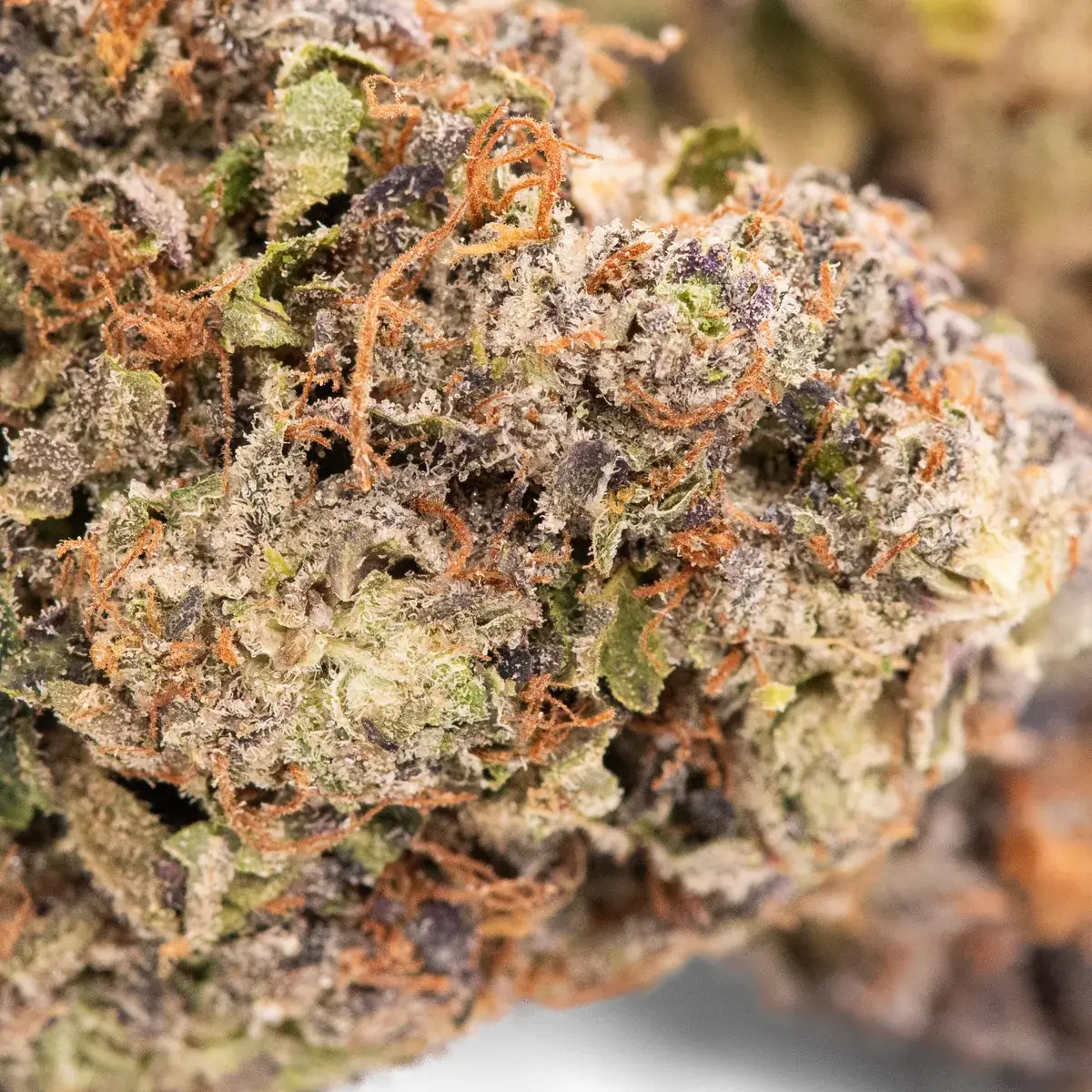 Gucci Pink AAAA+ - Starbuds Halifax - shrooms halifax