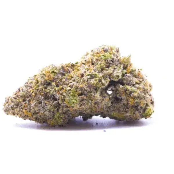 Halle Berry - Starbuds Halifax - shrooms halifax