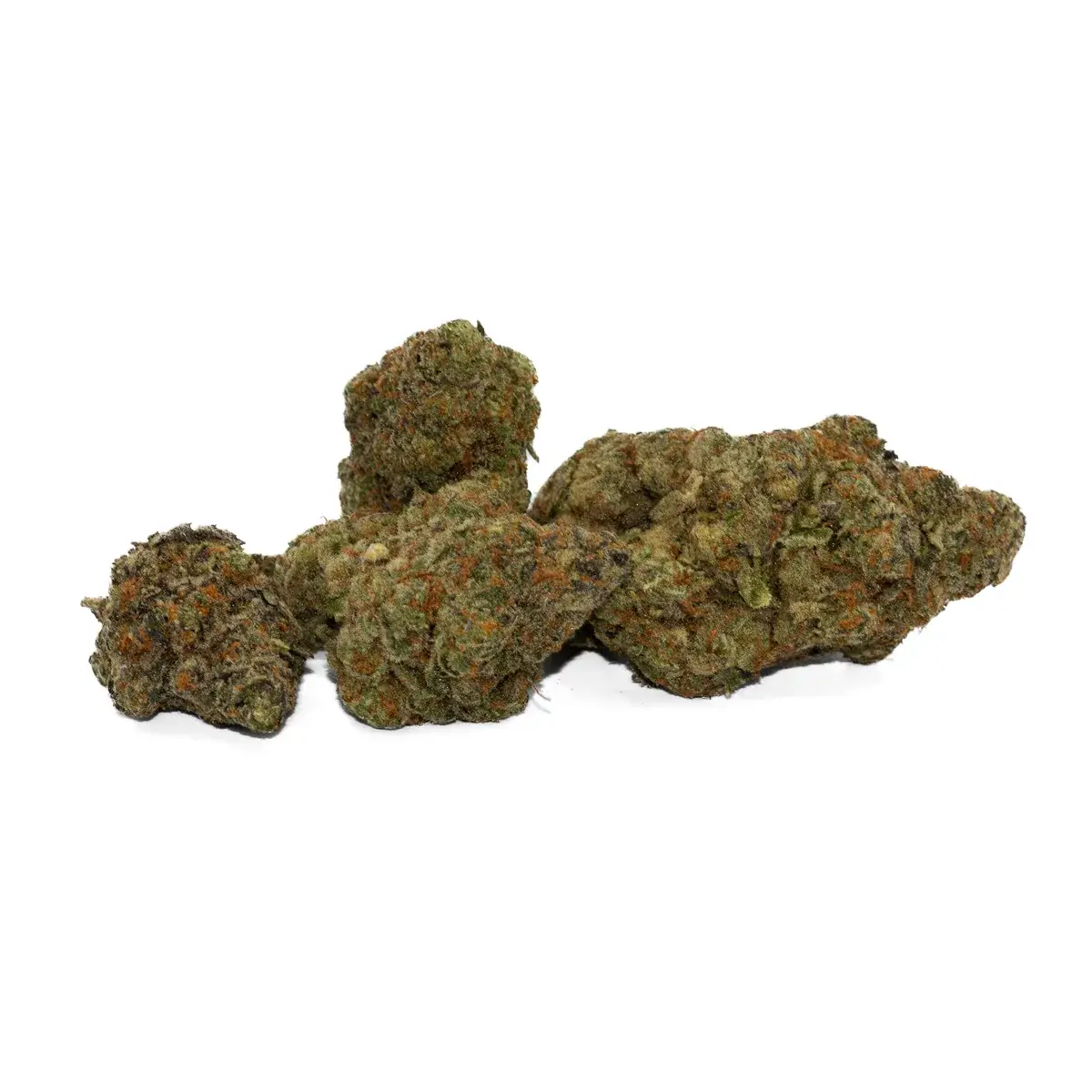 Hollywood - Starbuds Halifax - shrooms halifax