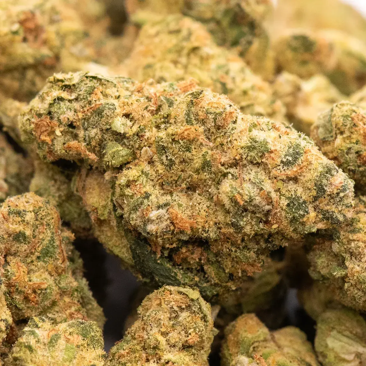 Ice Pop Smalls - Starbuds Halifax - shrooms halifax