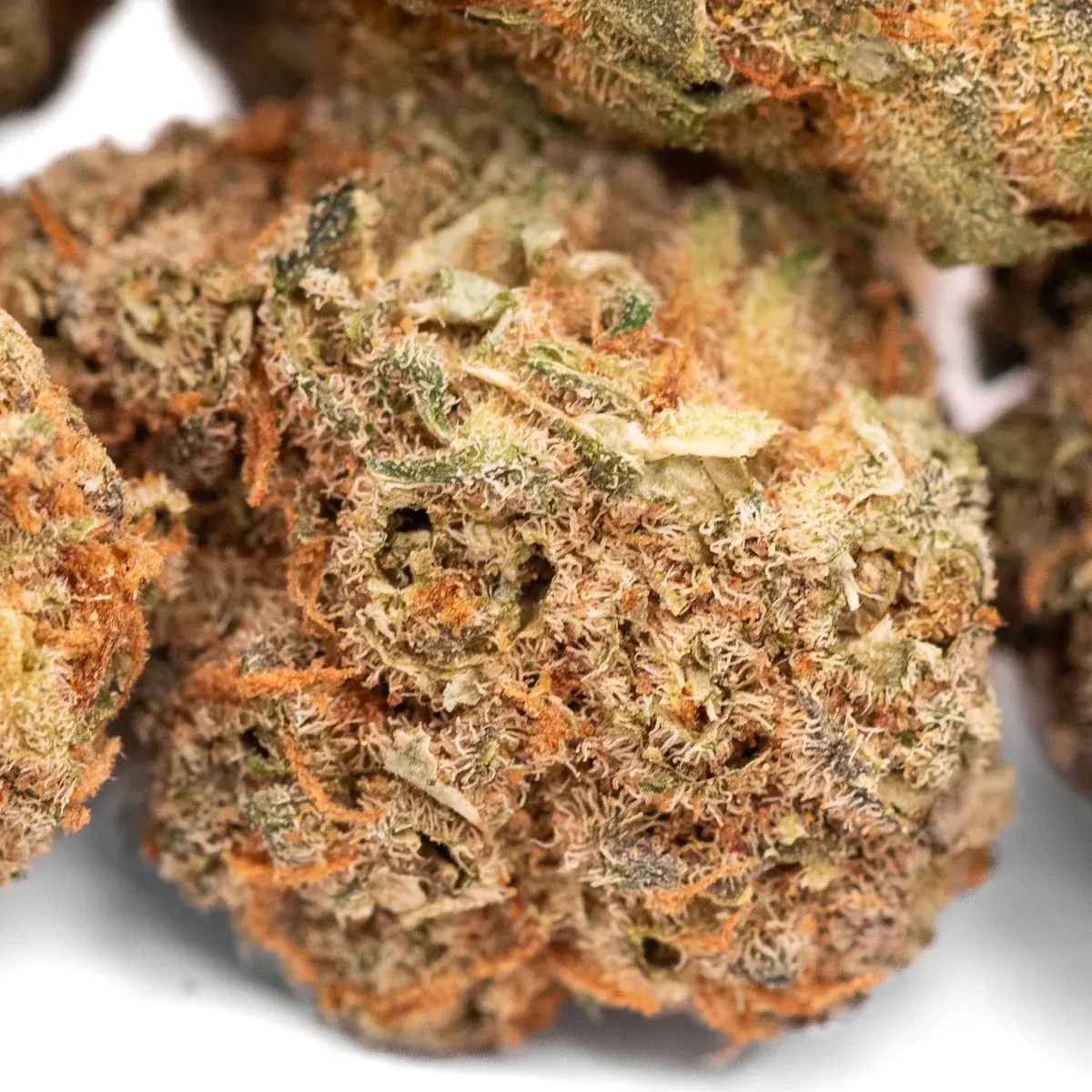 King Kong - Starbuds Halifax - shrooms halifax