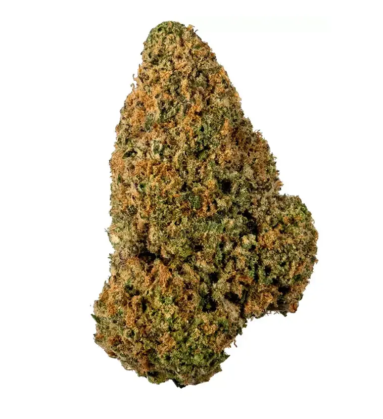 Lemon Drizzle - Starbuds Halifax - shrooms halifax