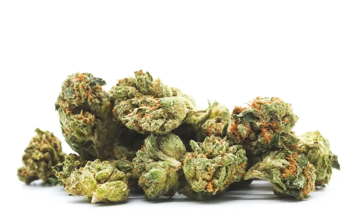 Mango Haze - Starbuds Halifax - shrooms halifax