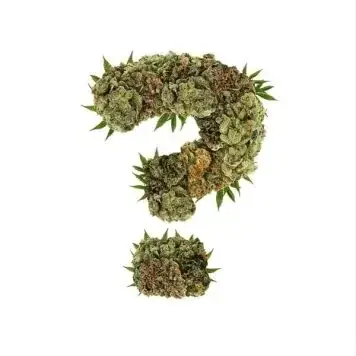 Mystery Flower Gram - Starbuds Halifax - shrooms halifax