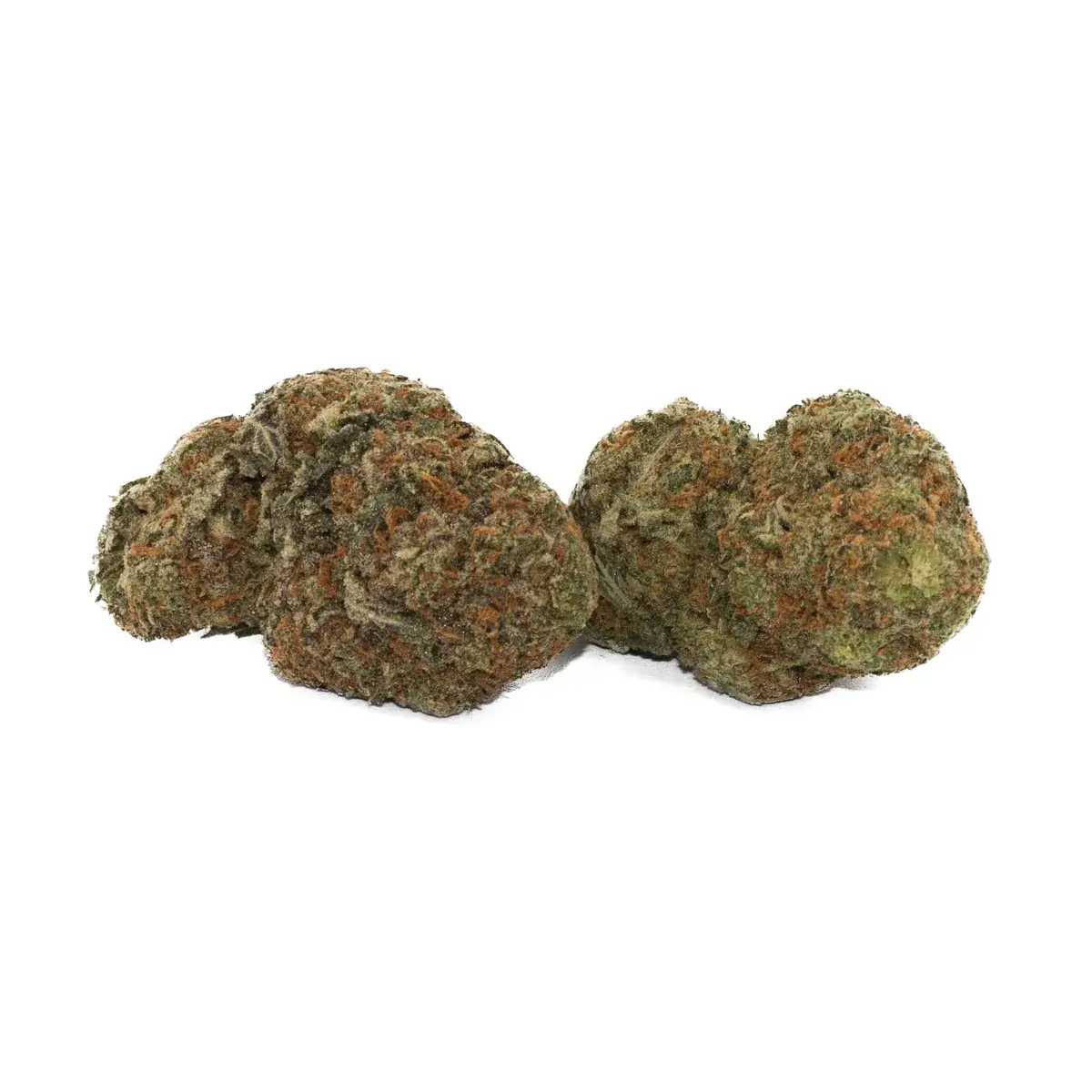 Northern Lights - Starbuds Halifax - shrooms halifax